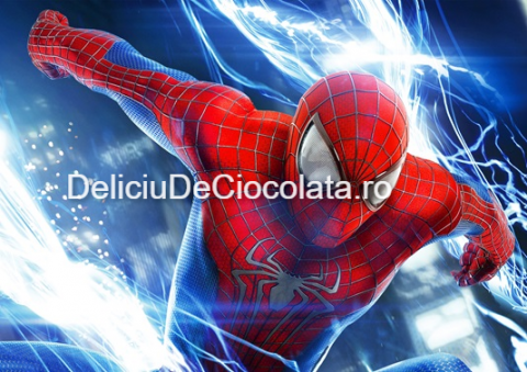 Personaje Celebre si Cinema - Vafa imprimata SpiderMan Model 1, A4