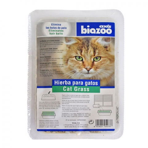 Suplimente si vitamine pisici - Iarba pisicii