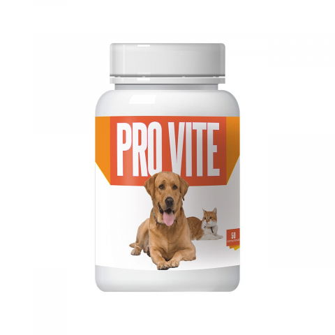 Suplimente si vitamine pisici - SUPLIMENT PENTRU CAINI SI PISICI PRO-VITE 50CP