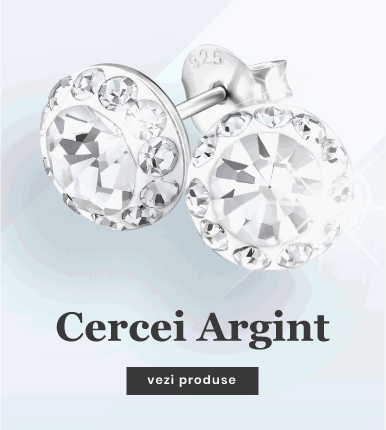 Cercei Argint