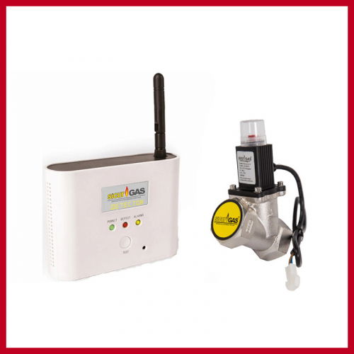 Detectoare de gaz si electrovalve