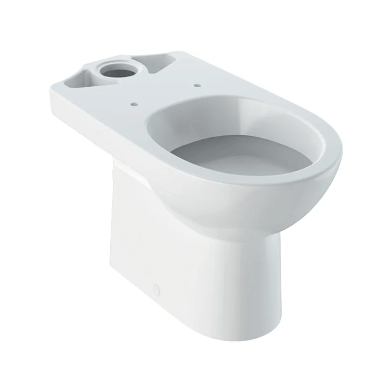 Vas WC pe pardoseală Geberit Selnova pentru rezervor aparent montat pe vas spălare verticală evacuare orizontală 500.287.01.7 [1]