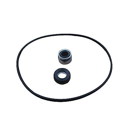 Piese Pompe si Hidrofoare - Kit etansare mecanica cu o-ring pentru pompa Jet 102 DP 102 D,13 mm