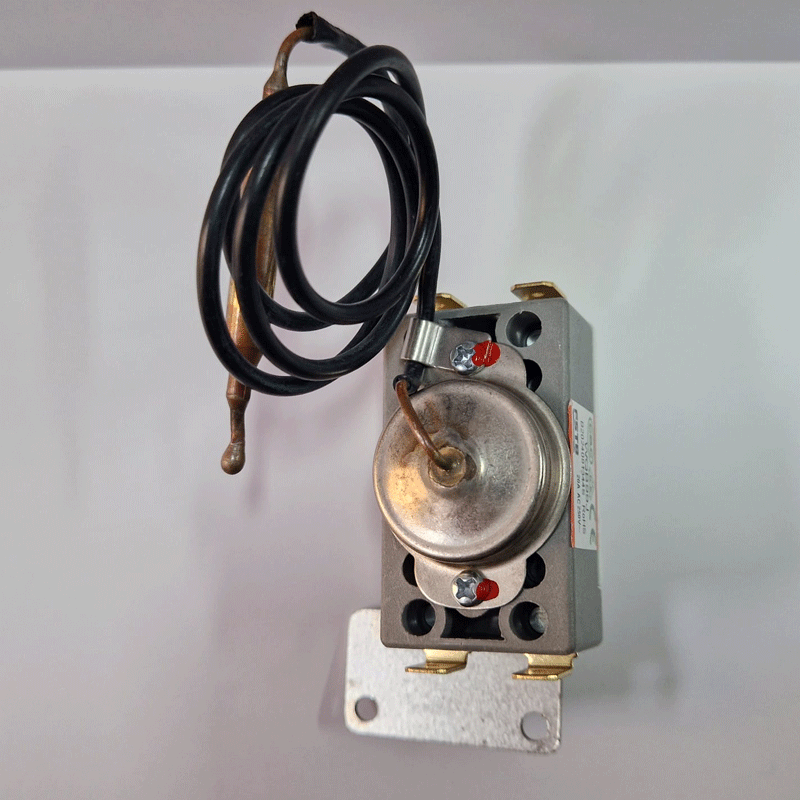 TERMOSTAT DE SIGURANTA EIKA BOILER DRAZICE 6541907 81580007 [2]