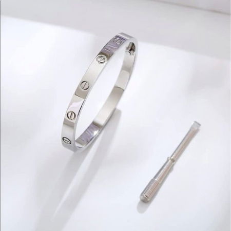 TOATE PRODUSELE - Brățară LOVE Argintie Silver Elegance