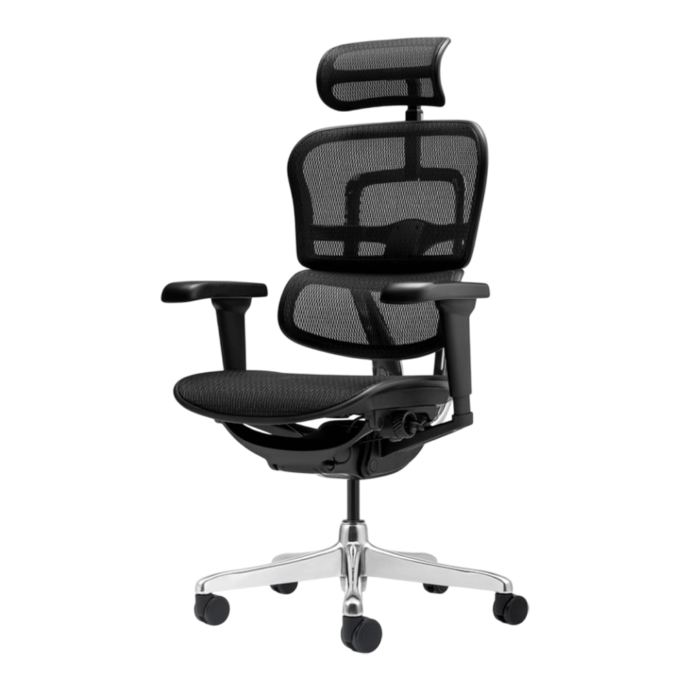 Scaune - Scaun birou mesh Ergohuman negru