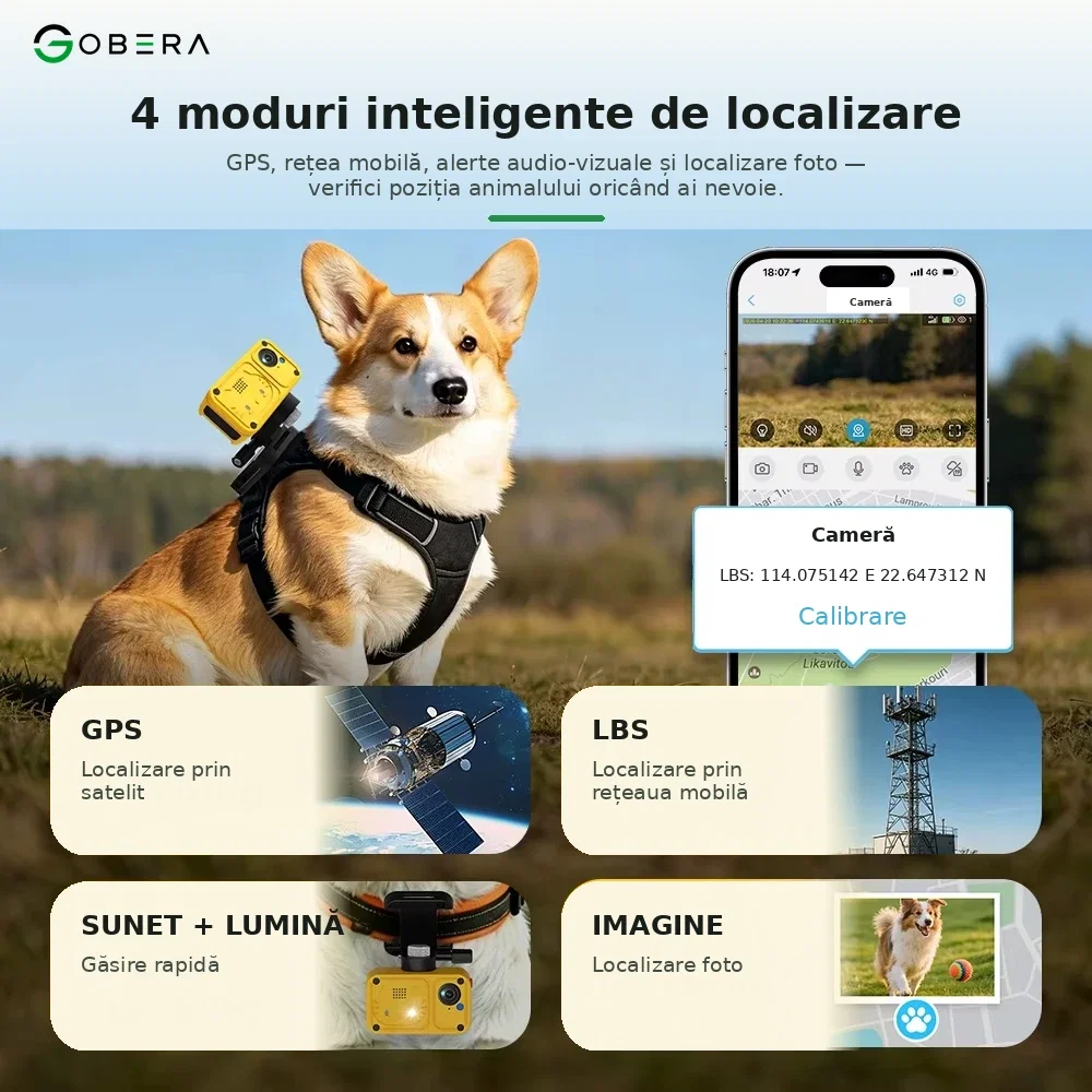 Tracker GPS 4G cu Cameră pentru Pisici goBERA® [5]