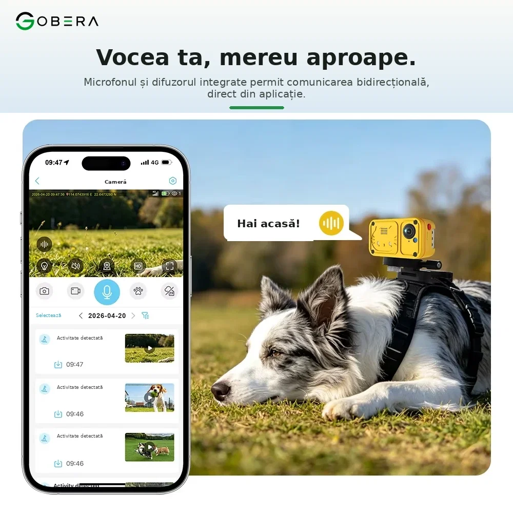 Tracker GPS 4G cu Cameră pentru Pisici goBERA® [3]