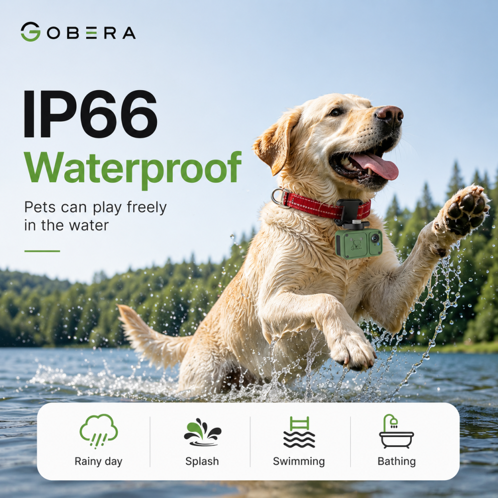 Tracker GPS 4G cu Cameră goBERA® pentru Câini și Animale, Full HD, Localizare în Timp Real, Geo-Fence, Audio Bidirecțional, IP66, Nano SIM [9]