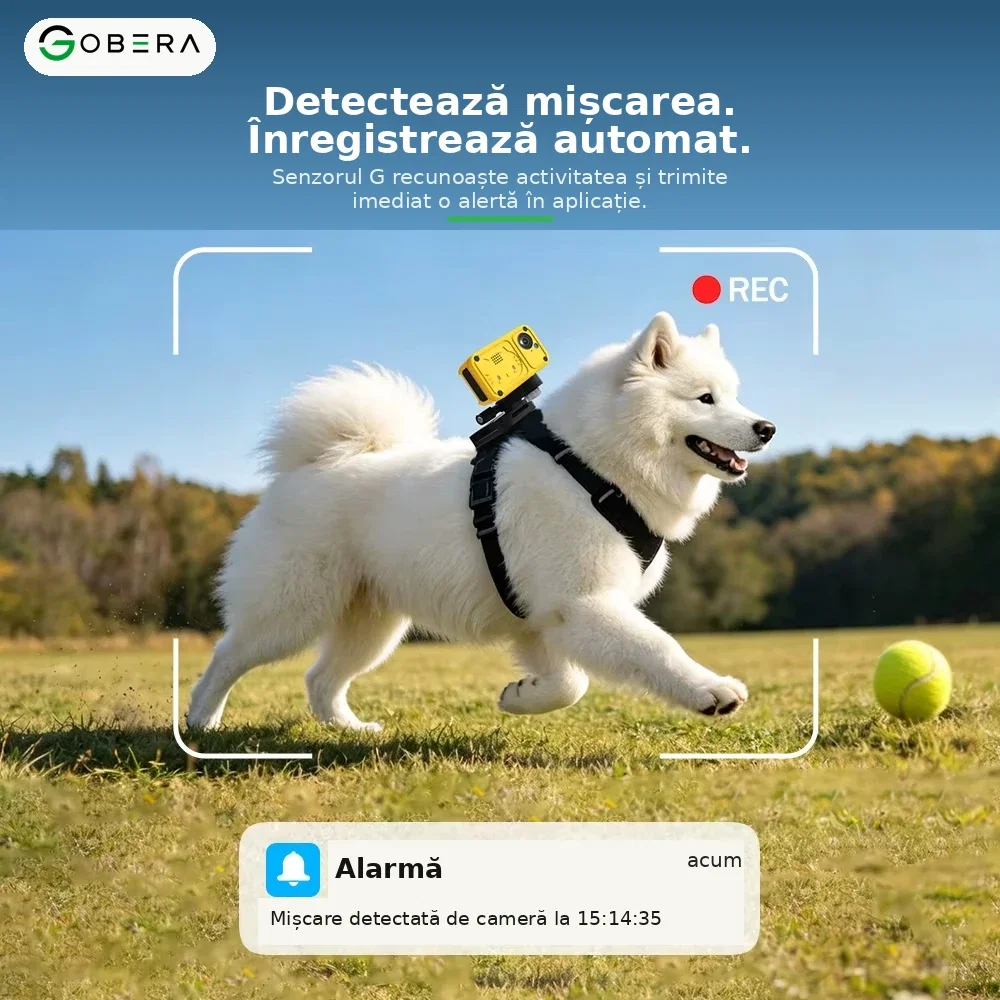 Tracker GPS 4G cu Cameră goBERA® pentru Câini și Animale, Full HD, Localizare în Timp Real, Geo-Fence, Audio Bidirecțional, IP66, Nano SIM [7]