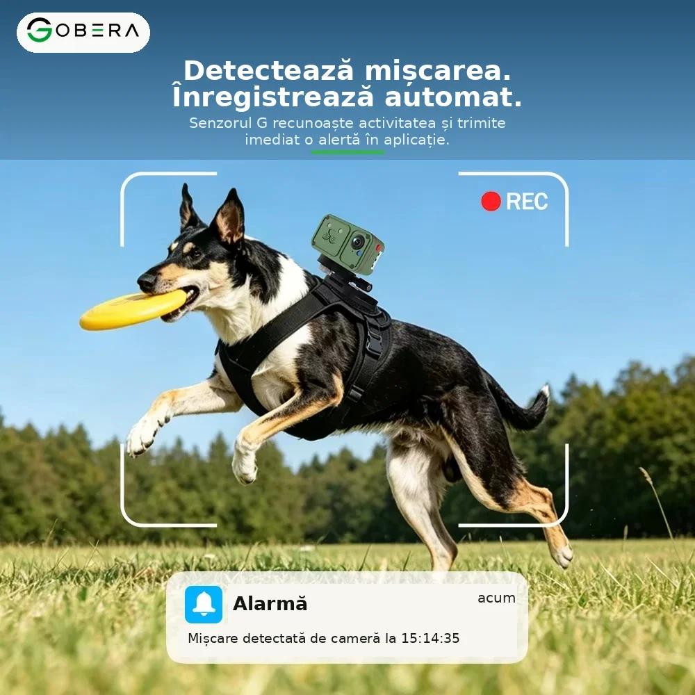 Tracker GPS 4G cu Cameră goBERA® pentru Câini și Animale, Full HD, Localizare în Timp Real, Geo-Fence, Audio Bidirecțional, IP66, Nano SIM [6]