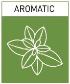 Aromatic