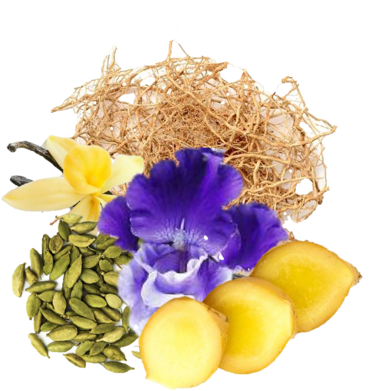 Leather & Black Oudh