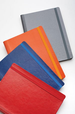 PRODUCTIE PUBLICITARA/AGENDE & CALENDARE/PERSONALIZARI - Agenda nedatata ,,Idea"