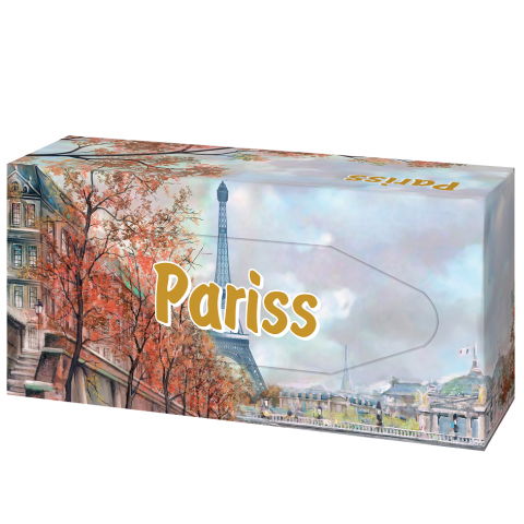 ARTICOLE DIN HARTIE - Servetele la cutie 100buc/cut Pariss