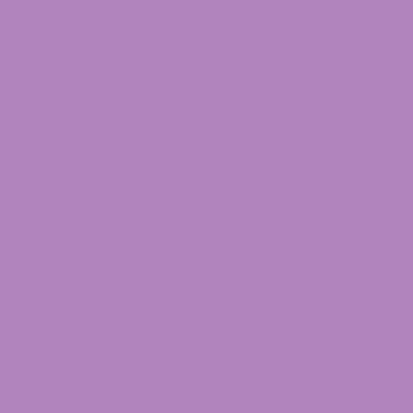 PR HARTIE SCHITA Canson Colorline 50x70 220gr VIOLET [2]