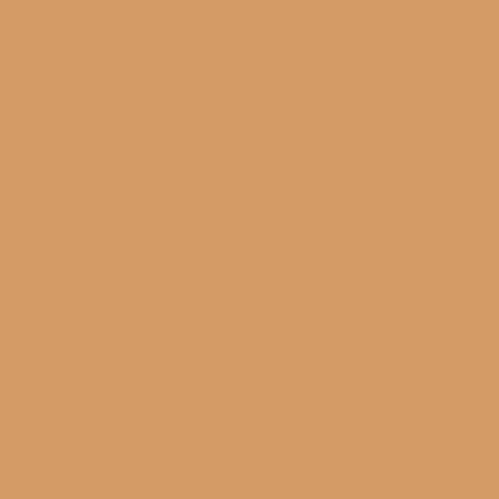 PR HARTIE SCHITA COLOR Canson Colorline 50x70 220gr BEIG32 [2]