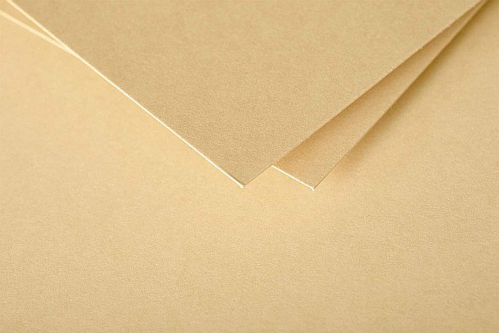 PLIC CLAIREFONTAINE DL 20/SET CARAMEL 5485C [2]