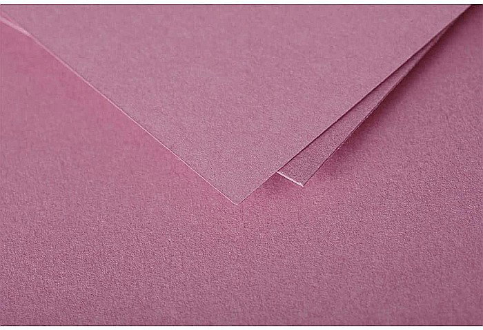 PLIC CLAIREFONTAINE DL 20/SET ROZ HORTENSIE 55655C [2]