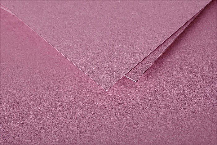 PLIC CLAIREFONTAINE C6 20/SET ROZ HORTENSIE 55656C [2]