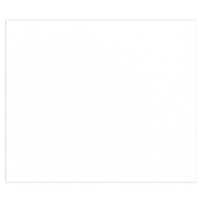 CF CARTON 50*65CM 160GR TULIPE FINE FACE ALB 960180C [1]