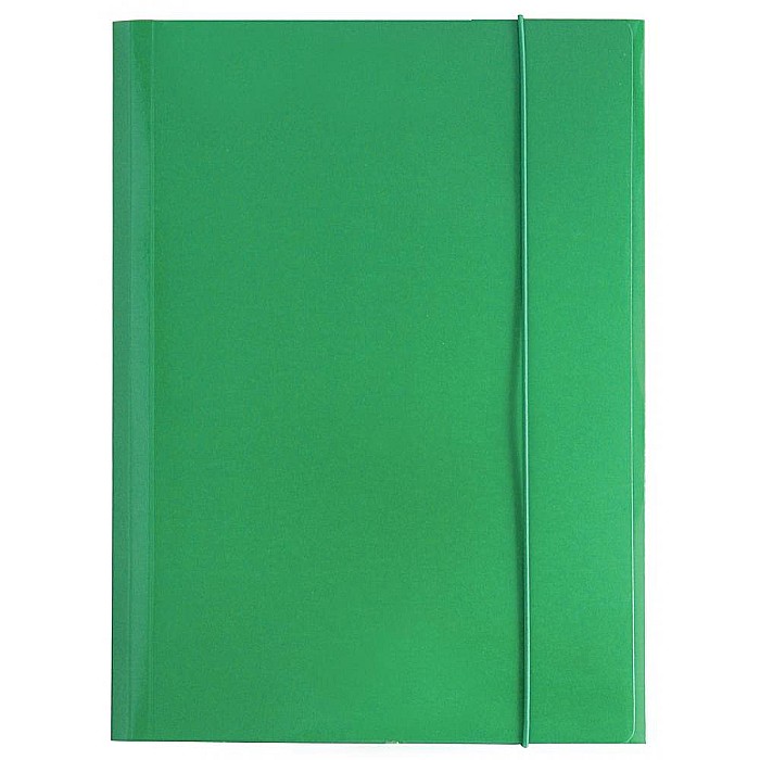 DOSAR CARTON A4 CU ELASTIC VERDE 60583 [1]