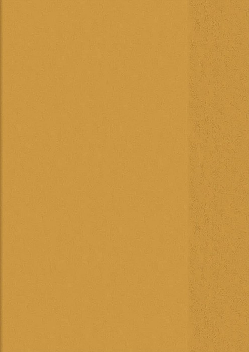 BR COPERTA CAIET A4 ORANGE 104050440 [1]