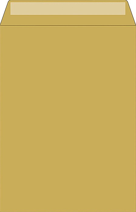 BR PLIC C4 10/SET 229*324MM SILICONIC, KRAFT 5344201 [2]
