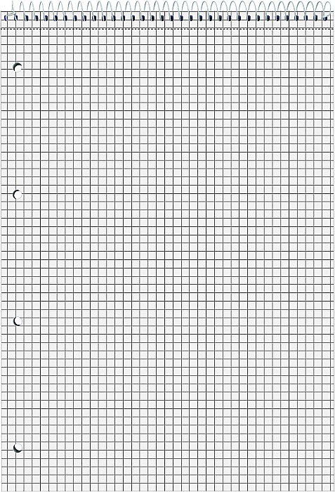 BR BLOC NOTES A4 80F SPIRA SI PERFORATII PATRATELE 6791201 [2]