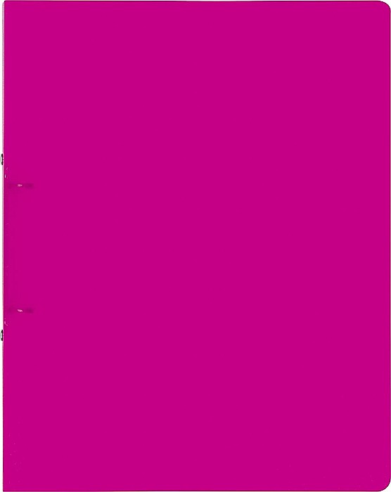 BR CAIET MECANIC A4 2 INELE 16MM ROZ COLOR CODE 6551626 [1]