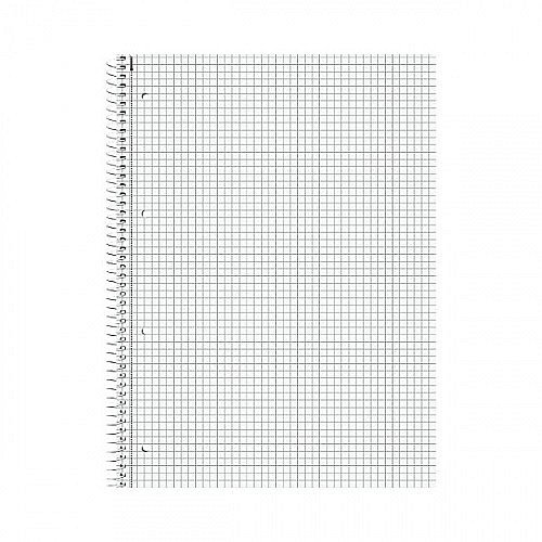 CAIET A4 80F SPIRA SI PERFORATII ARGINTIU PATRATELE 67928192 [2]