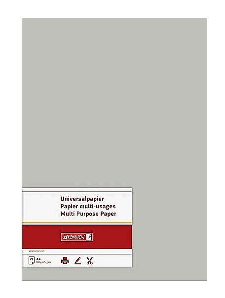 BR CARTON COLOR A4 160GR 25/SET GRI 5122580 [2]
