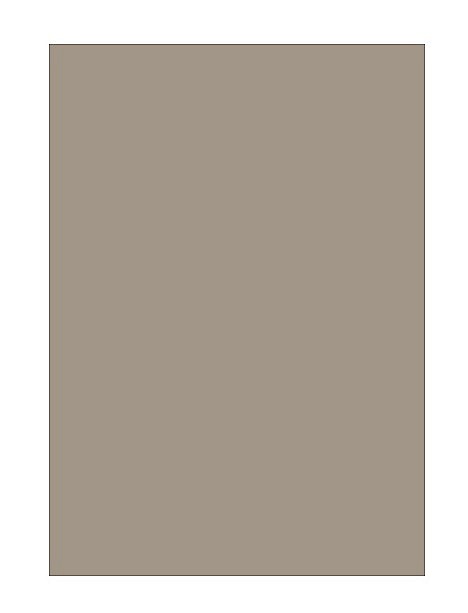 BR CARTON COLOR A4 160GR 25/SET TAUPE 5122585 [1]