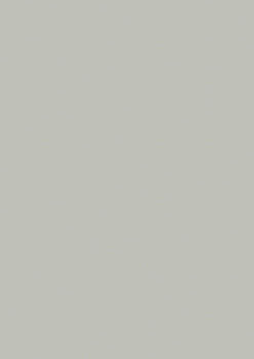 BR HARTIE COLOR A4 80GR 50/SET GRI 5125080 [1]