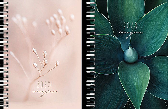 BR AGENDA DATATA SAPTAMANAL FUTURA 2 A5 2025 SPIRA IMAGINE 21037955 [1]