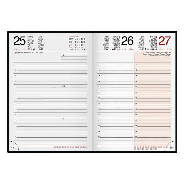 BR AGENDA DATATA ZILNIC MENTOR A5 2025 IMAGINE 26037955 [2]