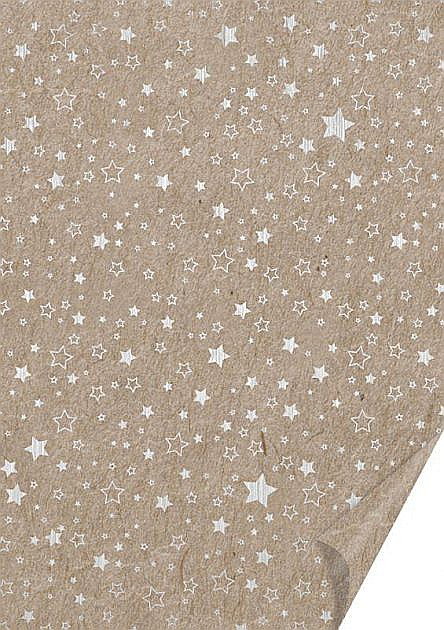 KP CARTON DECOR 50*70 220GR MOTIV STELE ARGINTIU LUCIOS 4771852 [1]