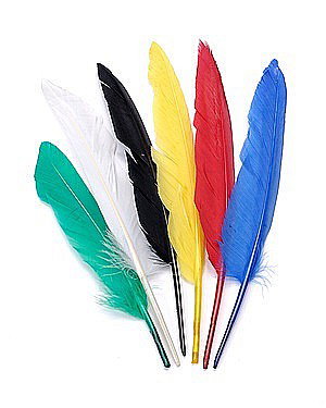 KP PENE DECOR GASCA 15-22CM 12/SET CULORI ASORTATE 2543806 [1]