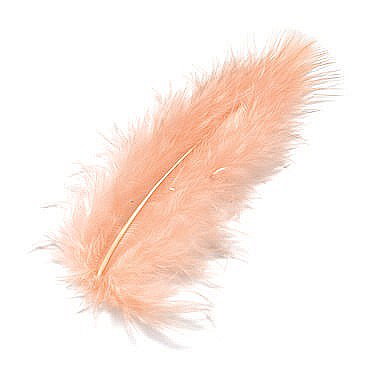 KP PENE DECOR MARABOU 10CM 15/SET ROZ 6619207 [1]