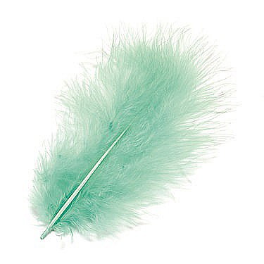 KP PENE DECOR MARABOU 10CM 15/SET TURCOAZ 6619380 [1]