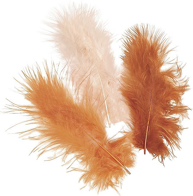 KP PENE DECOR MARABOU 10CM 15/SET MIX CAFENIU 6619956 [1]
