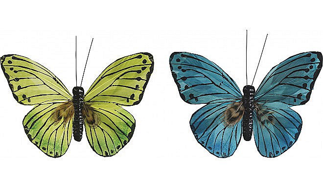 KP FLUTURE 7*9CM 2/SET VERDE, ALBASTRU 8030909 [1]