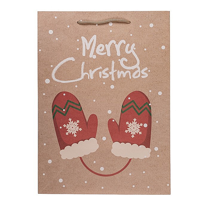 BLU SACOSA CADOU 25*8.5*34.5CM CHRISTMAS WARMS 160106 [5]