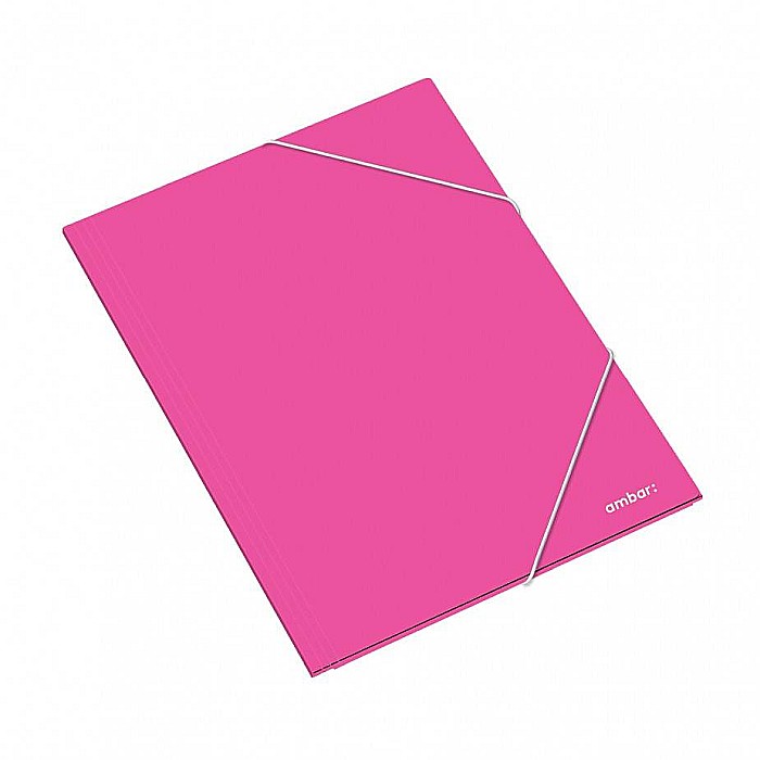 AM DOSAR CARTON CU ELASTIC A3 DIVERSE CULORI 163825 [2]