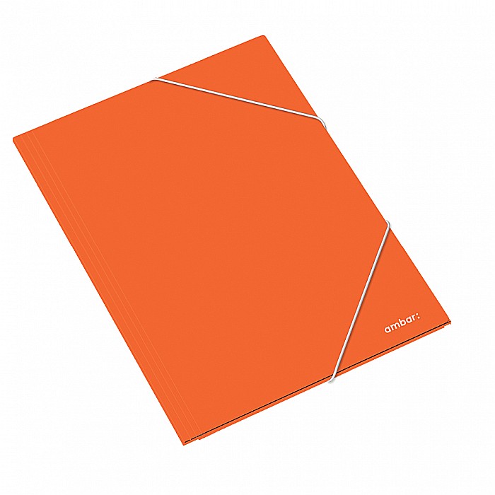 AM DOSAR CARTON CU ELASTIC A3 DIVERSE CULORI 163825 [4]