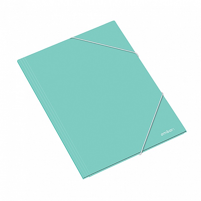 AM DOSAR CARTON CU ELASTIC A3 DIVERSE CULORI 163825 [6]