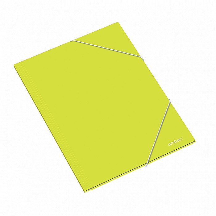 AM DOSAR CARTON CU ELASTIC A3 DIVERSE CULORI 163825 [7]