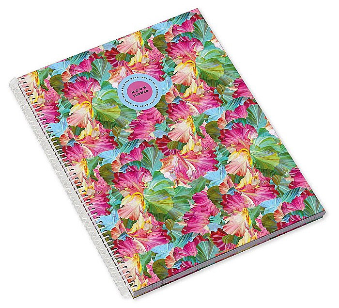 CAIET A4 80F TEEN MOONFLOWER PATRATELE 228678 [4]
