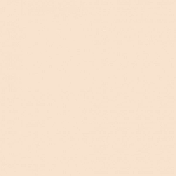 Pastă de modelaj fină cu uscare la aer Silk Clay 40G NUDE 79111 [2]