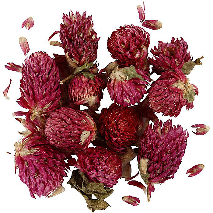 CC FLORI NATURALE USCATE TRIFOI ROSU 709502 [1]